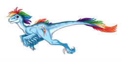 Size: 1280x709 | Tagged: safe, artist:briannacherrygarcia, rainbow dash, dinosaur, velociraptor, badass, dinosaurified, feather, looking back, rainbow feathers, running, simple background, smiling, smirk, solo, species swap, velocirainbow, watermark, white background