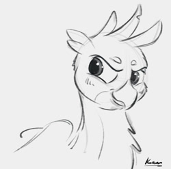 Size: 594x588 | Tagged: safe, artist:kam, gallus, griffon, blushing, bust, grayscale, male, monochrome, quadrupedal, simple background, sketch, solo, white background