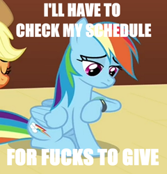 Size: 520x542 | Tagged: safe, derpibooru import, screencap, rainbow dash, pegasus, pony, too many pinkie pies, image macro, meme, no fucks, unamused, vulgar, watch