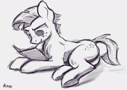 Size: 1754x1247 | Tagged: safe, artist:kam, star tracker, earth pony, pony, black and white, book, grayscale, monochrome, solo