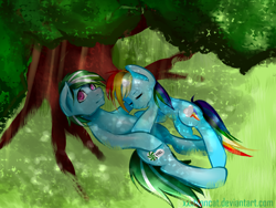 Size: 1600x1200 | Tagged: safe, artist:monochromacat, derpibooru import, rainbow dash, oc, oc:minty frost, pegasus, pony, canon x oc, female, male, shipping, straight, under the tree