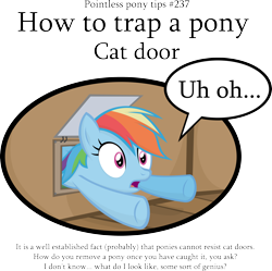 Size: 3792x3783 | Tagged: dead source, safe, artist:jittery-the-dragon, rainbow dash, pegasus, pony, behaving like a cat, catflap, cute, door, female, frown, high res, how to confuse a pony, mare, open mouth, pointless pony tips, rainbow cat, solo, speech bubble, stuck, trapped, underhoof, wide eyes