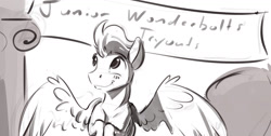 Size: 1808x910 | Tagged: safe, artist:kam, soarin', pegasus, pony, banner, blushing, cloudsdale, cute, grayscale, grin, male, monochrome, smiling, solo, spread wings, stallion, wings, younger