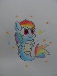 Size: 3240x4320 | Tagged: safe, artist:srbei17, rainbow dash, sea pony, race swap, seaponified, seapony rainbow dash, simple background, solo, species swap, traditional art, white background