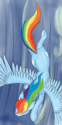 Size: 600x1200 | Tagged: safe, artist:bingodingo, rainbow dash, pegasus, pony, both cutie marks, flying, overhead view, solo, underhoof