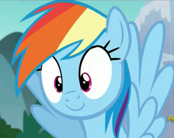 Size: 908x718 | Tagged: safe, derpibooru import, screencap, rainbow dash, pegasus, pony, no second prances, cute, dashabetes, female, smiling, solo