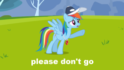 Size: 1054x593 | Tagged: safe, rainbow dash, pegasus, pony, caption, detailed background, female, mare, solo