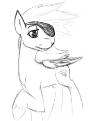 Size: 456x595 | Tagged: safe, artist:tempusfidgets, derpibooru import, rainbow dash, pegasus, pony, eyepatch, monochrome, pirate dash, solo