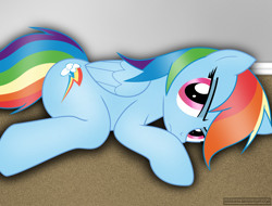 Size: 2548x1932 | Tagged: safe, artist:iflysna94, rainbow dash, pegasus, pony, female, mare, simple background, solo