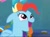 Size: 1533x1141 | Tagged: safe, derpibooru import, screencap, rainbow dash, pegasus, pony, newbie dash, alternate hairstyle, behaving like a dog, behaving like pinkie pie, discovery family logo, dynamic dash, impressions, open mouth, panting, puppy pie, solo, tongue out