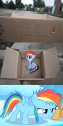 Size: 694x1384 | Tagged: safe, rainbow dash, pegasus, pony, fanfic:my little dashie, dashie meme, enlightened, exploitable meme, filly, foal, good people finding dash meme, meme, self ponidox