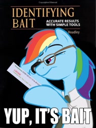 Size: 755x1000 | Tagged: safe, rainbow dash, pegasus, pony, /mlp/, 4chan, book, glasses, identifying wood, parody, parody of a parody, reaction image, solo, this is bait, vulgar