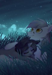 Size: 2090x3000 | Tagged: safe, artist:lightning-stars, oc, oc only, oc:kate, oc:kej, pegasus, pony, art trade, couple, cuddling, cute, female, k+k, looking up, male, mare, night, night sky, oc x oc, ocbetes, romantic, shipping, sky, sleeping, stallion, stars, straight