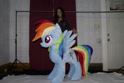 Size: 800x533 | Tagged: safe, artist:karasunezumi, rainbow dash, irl, life size, photo, plushie