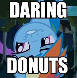 Size: 862x865 | Tagged: safe, daring do, rainbow dash, pegasus, pony, donut, image macro, smugdash, solo, wat