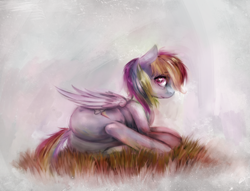 Size: 1000x765 | Tagged: safe, artist:ventious, derpibooru import, rainbow dash, pegasus, pony, heart eyes, looking at you, lying down, on side, painted, plot, solo, wingding eyes