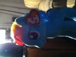 Size: 960x720 | Tagged: safe, rainbow dash, pegasus, pony, blue coat, female, mare, multicolored mane, toy, ty