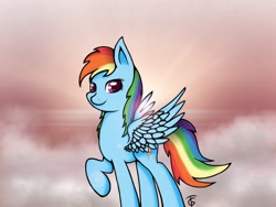 Size: 1024x768 | Tagged: safe, artist:gromektwist, rainbow dash, pegasus, pony, detailed background, female, mare, solo