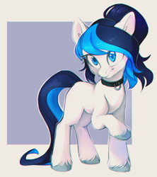 Size: 680x766 | Tagged: safe, artist:lightning-stars, oc, oc only, earth pony, pony, abstract background, collar, female, mare, ponytail, raised hoof, solo, unshorn fetlocks