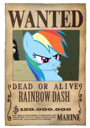 Size: 600x849 | Tagged: safe, artist:lightdegel, rainbow dash, pegasus, pony, crossover, one piece, roronoa zoro, solo, wanted, wanted poster