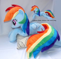 Size: 3240x3152 | Tagged: safe, artist:epicrainbowcrafts, derpibooru import, rainbow dash, commission, irl, life size, photo, plushie, solo