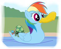 Size: 1910x1526 | Tagged: safe, artist:mistergi, rainbow dash, tank, duck, rainbow dash is a duck, snorkel, species swap