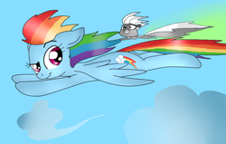 Size: 1024x651 | Tagged: safe, artist:abrilelizabeth, artist:rmsaun98722, derpibooru import, rainbow dash, pegasus, pony, skunk, crossover, female, flying, littlest pet shop, my littlest pet shop: escape from equestria, pepper clark, skunk spray, smell