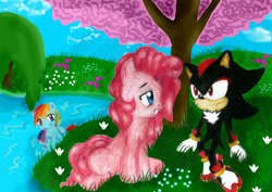 Size: 2387x1687 | Tagged: safe, artist:simsvaleria, derpibooru import, pinkie pie, rainbow dash, earth pony, pegasus, pony, crossover, flower, lake, sega, sonic the hedgehog (series), tree, video game, water