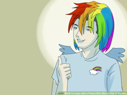 Size: 724x545 | Tagged: safe, derpibooru import, rainbow dash, pegasus, pony, clothes, cosplay, costume, get a load of this guy, wikihow