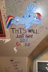 Size: 1728x2592 | Tagged: safe, artist:tikkanii, rainbow dash, pegasus, pony, graffiti, photo, traditional art