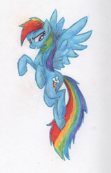 Size: 553x861 | Tagged: safe, artist:benrusk, rainbow dash, pegasus, pony, blue coat, female, mare, multicolored mane, solo, traditional art