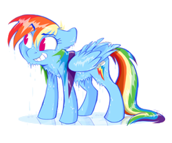 Size: 3300x2742 | Tagged: safe, artist:graystripe64, rainbow dash, pegasus, pony, cute, cutie mark, dashabetes, dripping, female, grin, reflection, simple background, smiling, solo, wet, wet mane, white background, wings