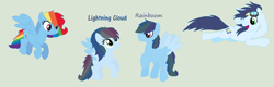 Size: 600x191 | Tagged: safe, artist:aquadusk, derpibooru import, rainbow dash, soarin', oc, oc:lightning cloud, oc:rainboom, pegasus, pony, family, female, male, offspring, parent:rainbow dash, parent:soarin', parents:soarindash, shipping, simple background, soarindash, straight