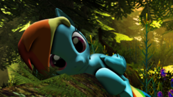 Size: 3840x2160 | Tagged: safe, artist:radiativespinger, derpibooru import, rainbow dash, pegasus, pony, 3d, cute, dashabetes, frown, head tilt, looking at you, plant, prone, rock, solo, source filmmaker