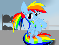 Size: 1600x1200 | Tagged: safe, artist:lovehtf421, derpibooru import, rainbow dash, pegasus, pony, exercise, gym, solo