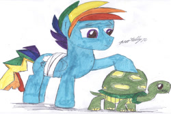 Size: 864x576 | Tagged: safe, artist:brookellyn, derpibooru import, rainbow blitz, rainbow dash, tank, pegasus, pony, tortoise, may the best pet win, bandage, female, male, rule 63, solo, stallion, traditional art