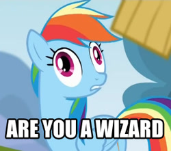 Size: 320x283 | Tagged: safe, rainbow dash, pegasus, pony, rainbow falls, are you a wizard, derp, image macro, reaction image, solo