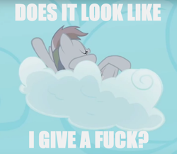 Size: 806x700 | Tagged: safe, derpibooru import, edit, edited screencap, screencap, rainbow dash, pegasus, pony, the return of harmony, cloud, discorded, image macro, meme, no fucks, rainbow ditch, solo, vulgar