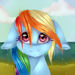 Size: 3000x3000 | Tagged: safe, artist:sugartool, derpibooru import, rainbow dash, pegasus, pony, beach, floppy ears, solo, wet mane