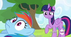 Size: 1152x609 | Tagged: safe, screencap, rainbow dash, twilight sparkle, twilight sparkle (alicorn), alicorn, pegasus, pony, rainbow falls, female, mare, meme, youtube caption