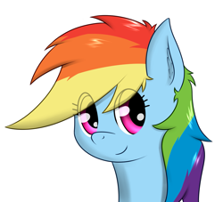 Size: 1137x1033 | Tagged: safe, artist:zogzor, derpibooru import, rainbow dash, pegasus, pony, female, mare, simple background, solo