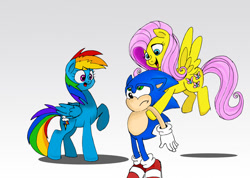 Size: 1024x728 | Tagged: safe, artist:gamemaster14, derpibooru import, fluttershy, rainbow dash, pegasus, pony, may the best pet win, carrying, crossover, find a pet, holding, parody, sonic the hedgehog, sonic the hedgehog (series)