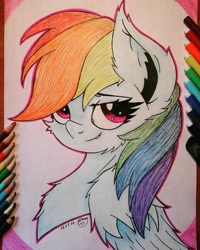 Size: 1232x1540 | Tagged: safe, artist:jennypaige, derpibooru import, rainbow dash, pegasus, pony, chest fluff, smirk, solo, traditional art