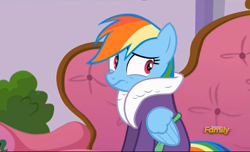 Size: 891x543 | Tagged: safe, derpibooru import, screencap, rainbow dash, pegasus, pony, applejack's "day" off, bathrobe, clothes, discovery family logo, robe