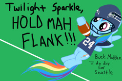 Size: 600x400 | Tagged: safe, rainbow dash, pegasus, pony, 12th man, 12th mare, american football, beast quake, beastquake, hold mah dick, hold my dick, marshawn lynch, meme, nfl, seattle seahawks, solo, vulgar