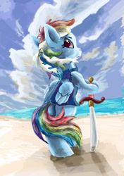 Size: 2759x3914 | Tagged: safe, artist:owlvortex, derpibooru import, rainbow dash, pegasus, pony, beach, bipedal, clothes, headband, looking back, pirate, pirate dash, solo, sword, weapon