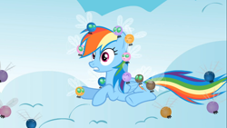 Size: 1366x768 | Tagged: safe, screencap, rainbow dash, parasprite, pegasus, pony, swarm of the century, cloud, oh crap, on a cloud, wide eyes