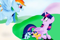 Size: 1024x683 | Tagged: safe, artist:biosonic100, rainbow dash, twilight sparkle, twilight sparkle (alicorn), oc, oc:event horizon, oc:gliding line, alicorn, pegasus, pony, colt, female, foal, male, mama twilight, mare, offspring, parent:flash sentry, parent:rainbow dash, parent:soarin', parent:twilight sparkle, parents:flashlight, parents:soarindash