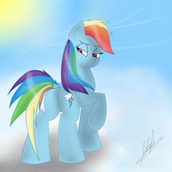 Size: 5000x5000 | Tagged: safe, artist:megazdx, derpibooru import, rainbow dash, pegasus, pony, absurd resolution, cloud, rainbutt dash, solo, underhoof