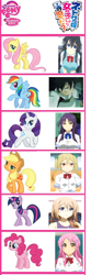 Size: 370x1120 | Tagged: safe, derpibooru import, applejack, fluttershy, pinkie pie, rainbow dash, rarity, twilight sparkle, earth pony, pegasus, pony, unicorn, chart, comparison chart, mlp chart, netoge no yome wa onna no ko janai to omotta?